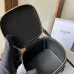 17Celine Smooth Calfskin Cuir Triomphe Mini Vanity Case Tan #A49273