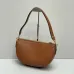 14Celine Triomphe Shoulder Bag with Multiple Pockets #A45664