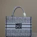 Christian Dior Stripes book tote AAA+ bags #A42328