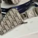 8DIOR CHRISTIAN DIOR Oblique Saddle Triple Pouch  size:23×17×4cm #A54108
