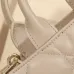 29Dior Handbags Dior Book Tote size:21×13×7cm #A53704