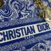 12Dior Handbags Dioriviera Medium Lady D-Lite Bag size:24×20×11cm #A53708