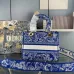 14Dior Handbags Dioriviera Medium Lady D-Lite Bag size:24×20×11cm #A53708