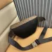 17Fendi Fanny Bag #A48040
