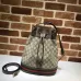 1Gucci Bucket Tote and Shoulder Bag size:26×31×12cm #A53675