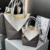 LOEWE new cowhide handbag #A34858