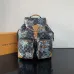 12Louis Vuitton Backpack MONTSOURIS CARGO Damier Palm Trees ww size:34×40×17cm #A53369
