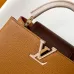 6Louis Vuitton Handbags Capucines Taurillon #A51212