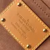 9Louis Vuitton Handbags Chip version 163C Danube  size:16×21×6cm #A53528