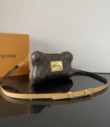 Louis Vuitton Shoulder Bags Bone size:24×14×6cm #A53371