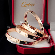 Cartier Bracelet #9103563