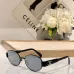 CELINE AAA+ Sunglasses #A35383