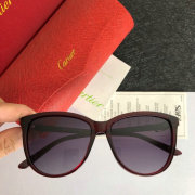 Cartier AAA+ Sunglasses #9875150