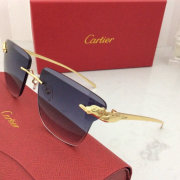 Cartier AAA+ Sunglasses #9875159