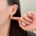 3Dior Earrings #A52943