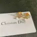 9Dior Earrings #A52944