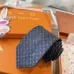 14Louis Vuitton Necktie #A52472