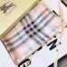 Burberry Scarfs #999902527