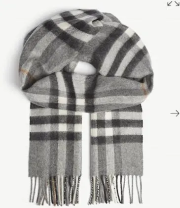 Burberry Scarfs #999919153