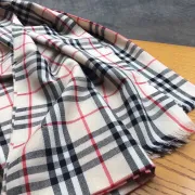 Burberry Scarfs #999919174