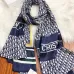 Dior Scarf #A23232