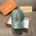 1Louis Vuitton AAA+ hats &amp; caps #A48052