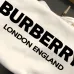 Burberry Hoodies for Men #999918496