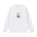 11Burberry Hoodies for Men #A41038