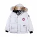 Canada goose jacket 19fw expedition wolf hairs 80% white duck down 1:1 quality Canada goose down coat for Men and Women #99899255