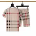 7Burberry Tracksuits for Burberry Short Tracksuits for men #A51948