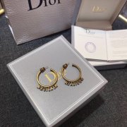 Dior Earrings #999916168