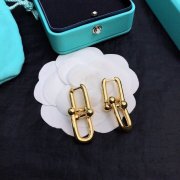 Tiffany Earrings #999916167