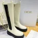 Dior Shoes for Dior boots for women #999919112